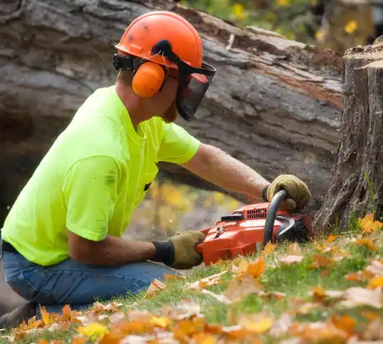 tree services Van Wert